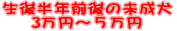 㔼NO̖ 3~`T~ 